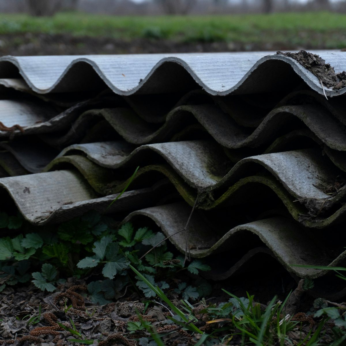 Asbestos Awareness Training (UKATA)